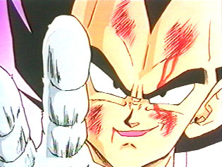 heh_vegeta.jpg