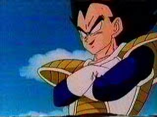 vegeta6.jpg