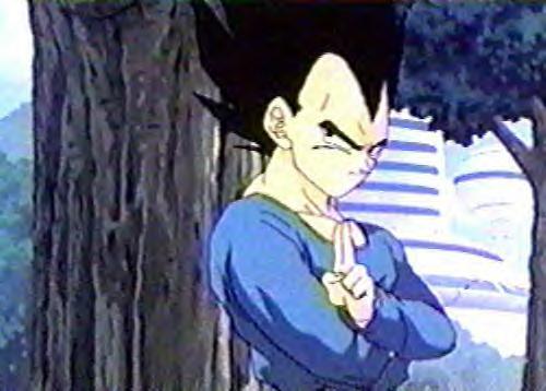 vegeta97.jpg
