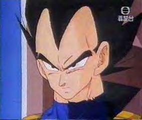 vegeta2e.jpg