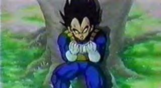 vegeta2e.jpg