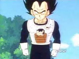 vegeta2e.jpg