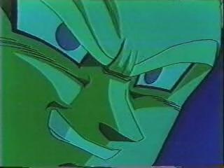 vegface.jpg